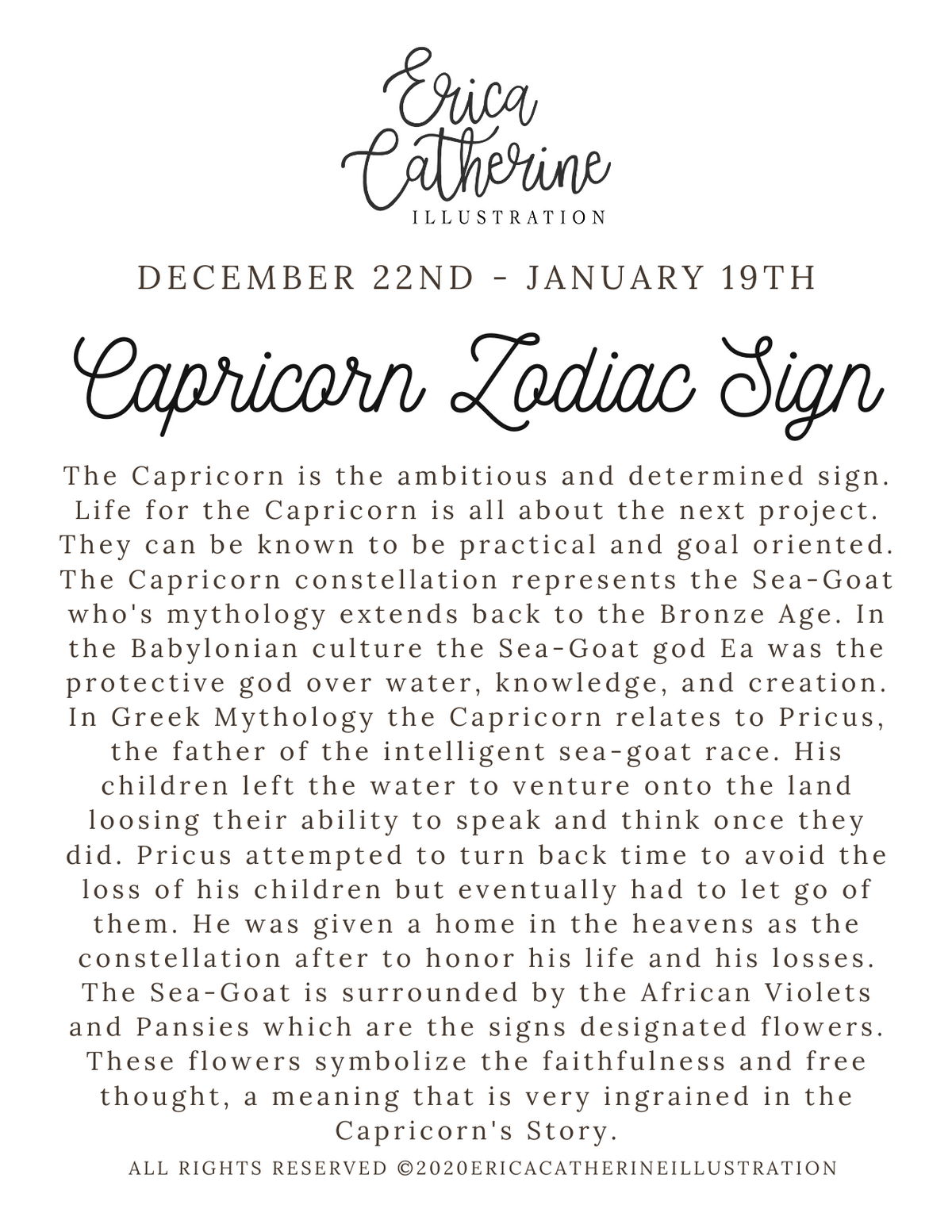Capricorn Zodiac Sign - Seconds Sale