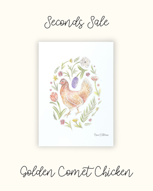 Backyard Chicken Print - Seconds Sale