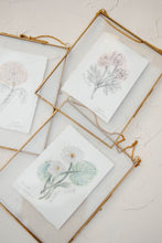 Load image into Gallery viewer, October Birth Flower - Cosmos Mini Original Drawing
