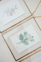 Load image into Gallery viewer, May Birth Flower - Hawthorn Mini Original Drawing
