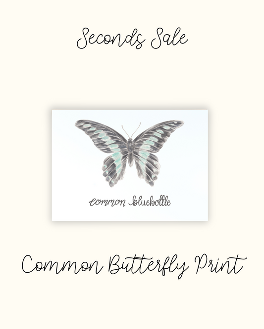 Common Bluebottle Butterfly Print - Seconds Sale