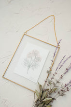 Load image into Gallery viewer, October Birth Flower - Cosmos Mini Original Drawing
