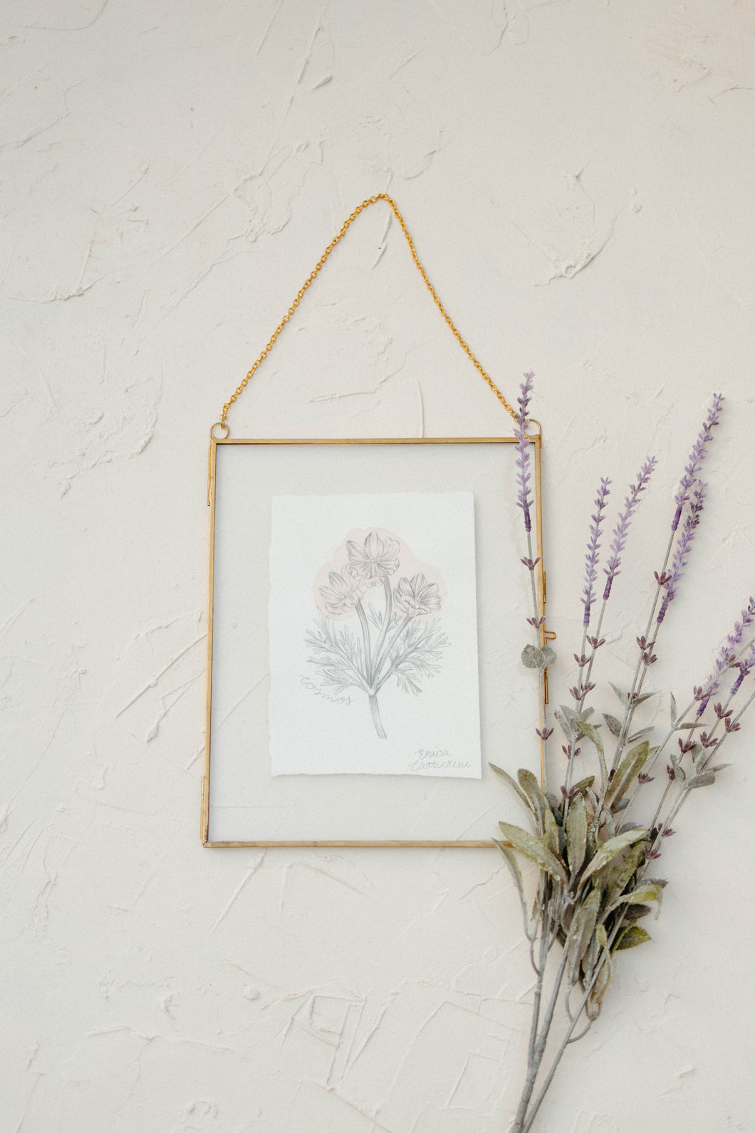 October Birth Flower - Cosmos Mini Original Drawing