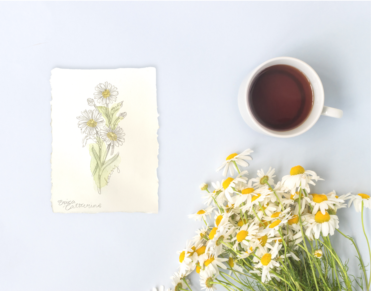 Small Daisy Illustration with torn paper is sitting on a grey paper background with coffee and wildflowers next to the paper.