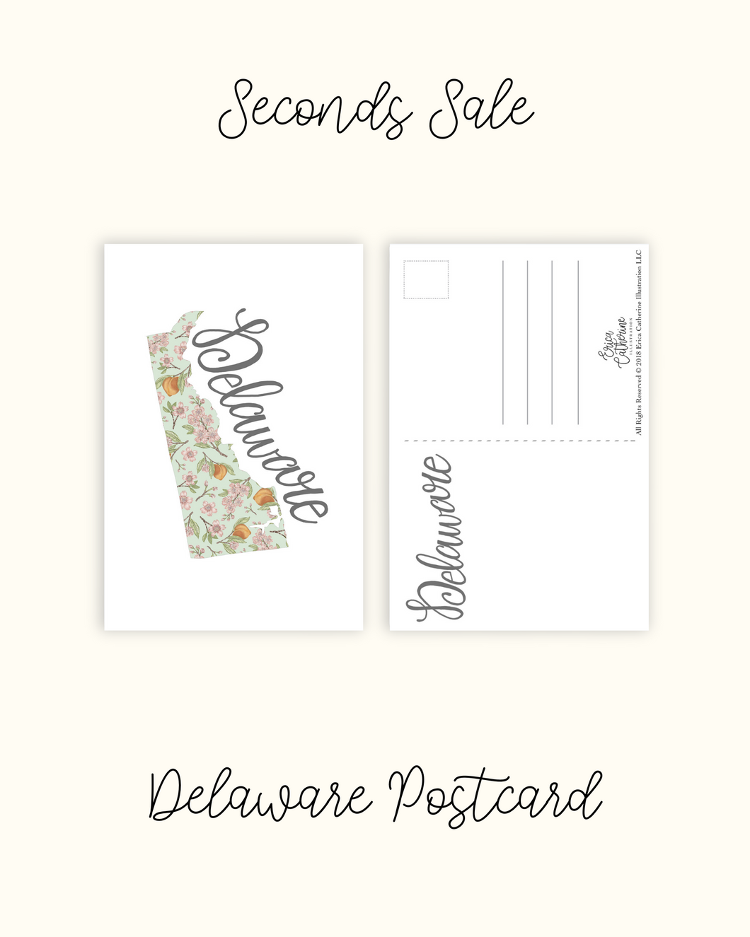 Delaware State Map Post card - Seconds Sale