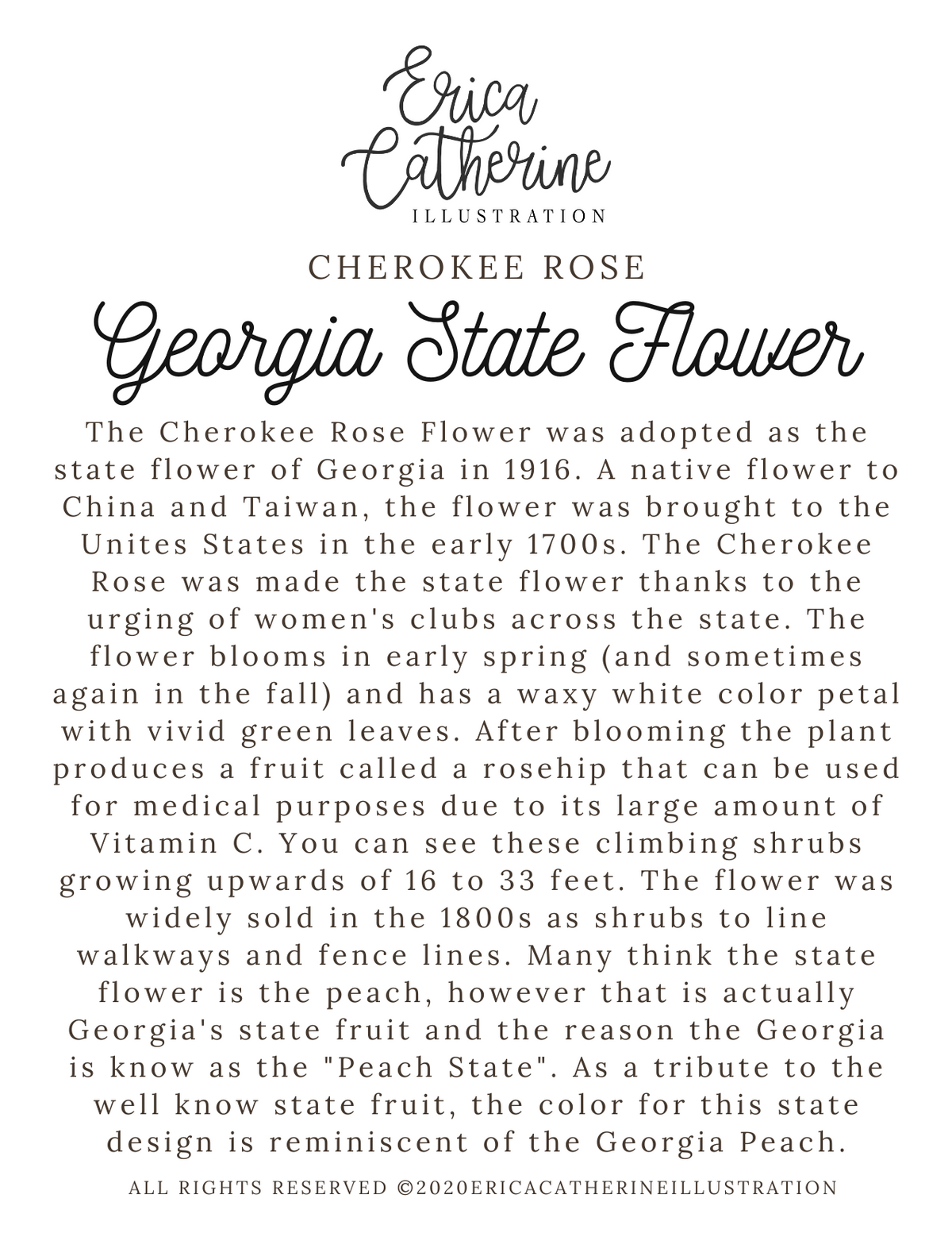 Georgia Map Print - Seconds Sale