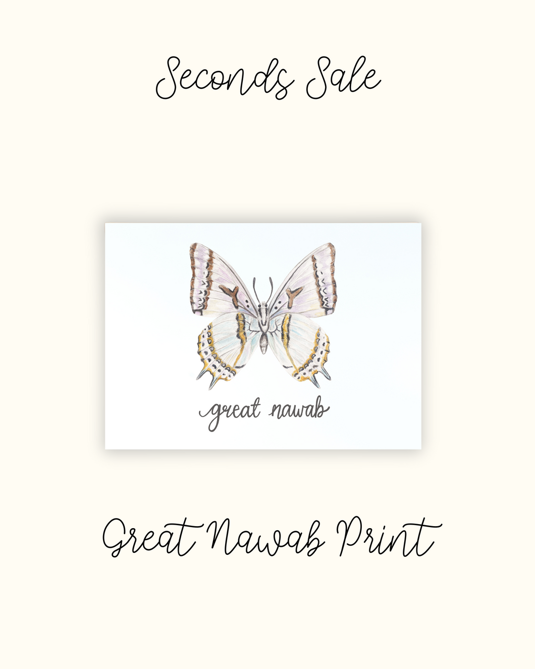 Great Nawab Butterfly Print - Seconds Sale