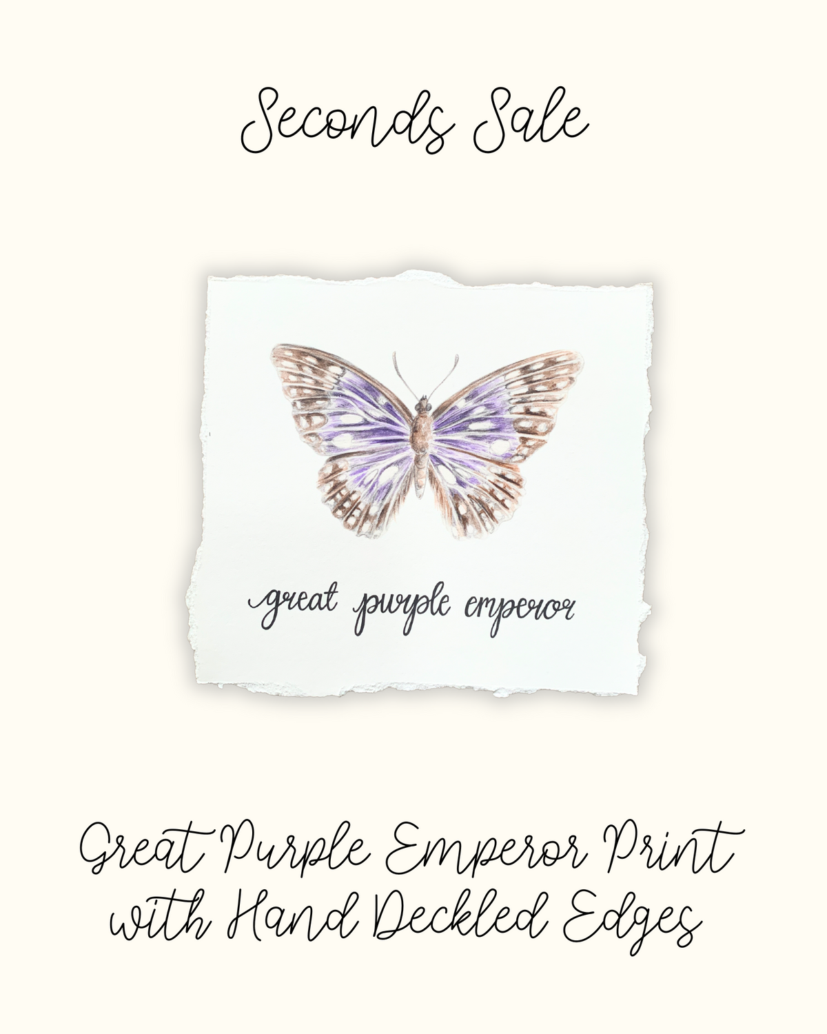 Great Purple Emperor Print with Hand Deckled Edge - Seconds Sale