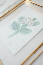 Load image into Gallery viewer, May Birth Flower - Hawthorn Mini Original Drawing
