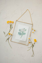 Load image into Gallery viewer, May Birth Flower - Hawthorn Mini Original Drawing
