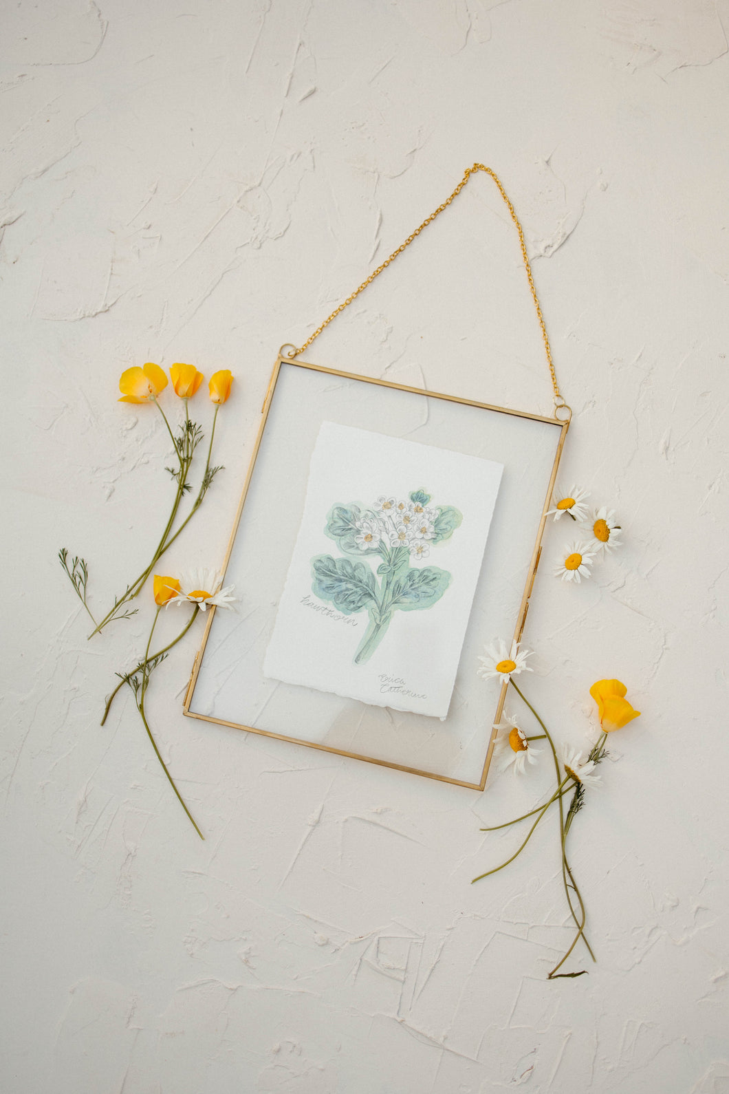 May Birth Flower - Hawthorn Mini Original Drawing