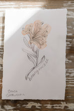Load image into Gallery viewer, June Birth Flower - Honeysuckle Mini Original Drawing

