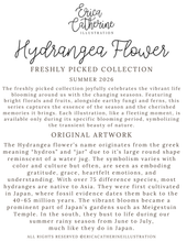 Load image into Gallery viewer, A text graphic on a white background with the title 'Hydrangea Flower' and descriptive copy about Erica Catherine Illustration's freshly picked collection for summer 2026.
