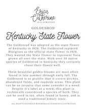 Load image into Gallery viewer, Kentucky State Map Fine Art Print
