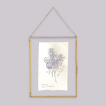Load image into Gallery viewer, July Birth Flower - Larkspur Mini Original Artwork
