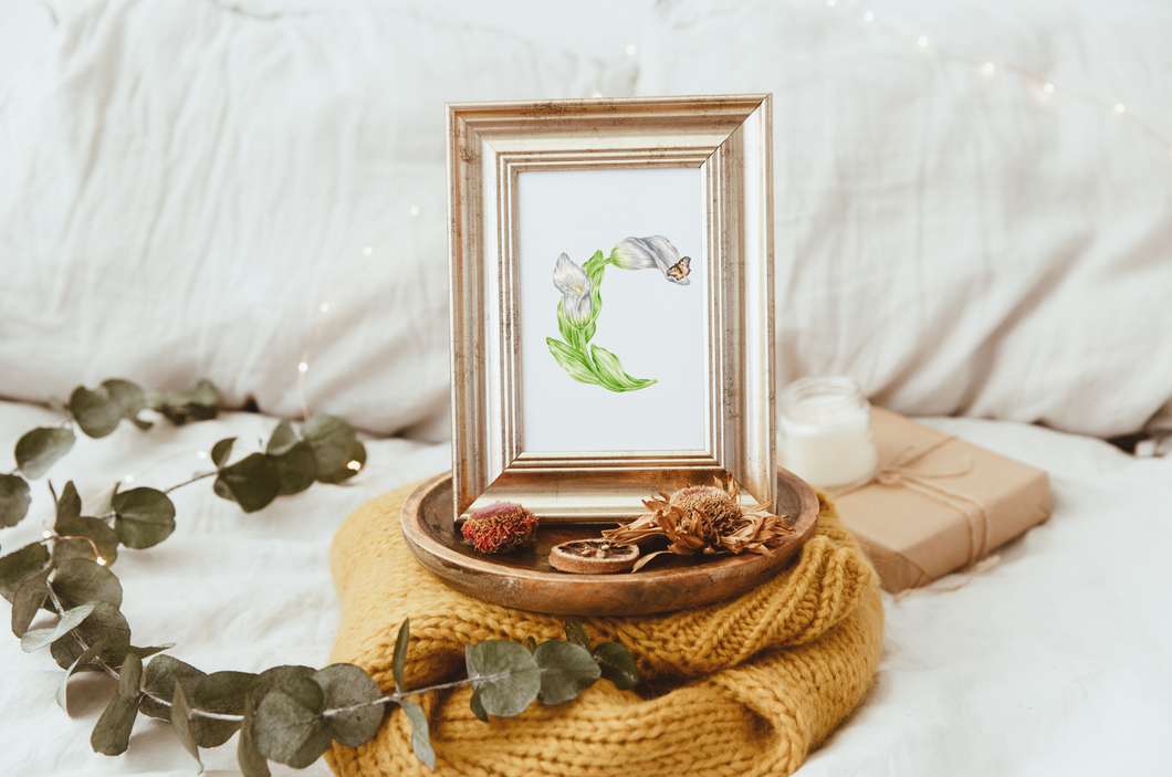 Letter C Initial Art Print