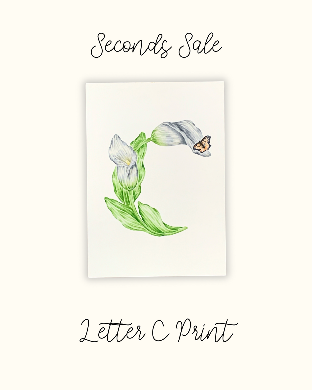 Letter C Print - Seconds Sale