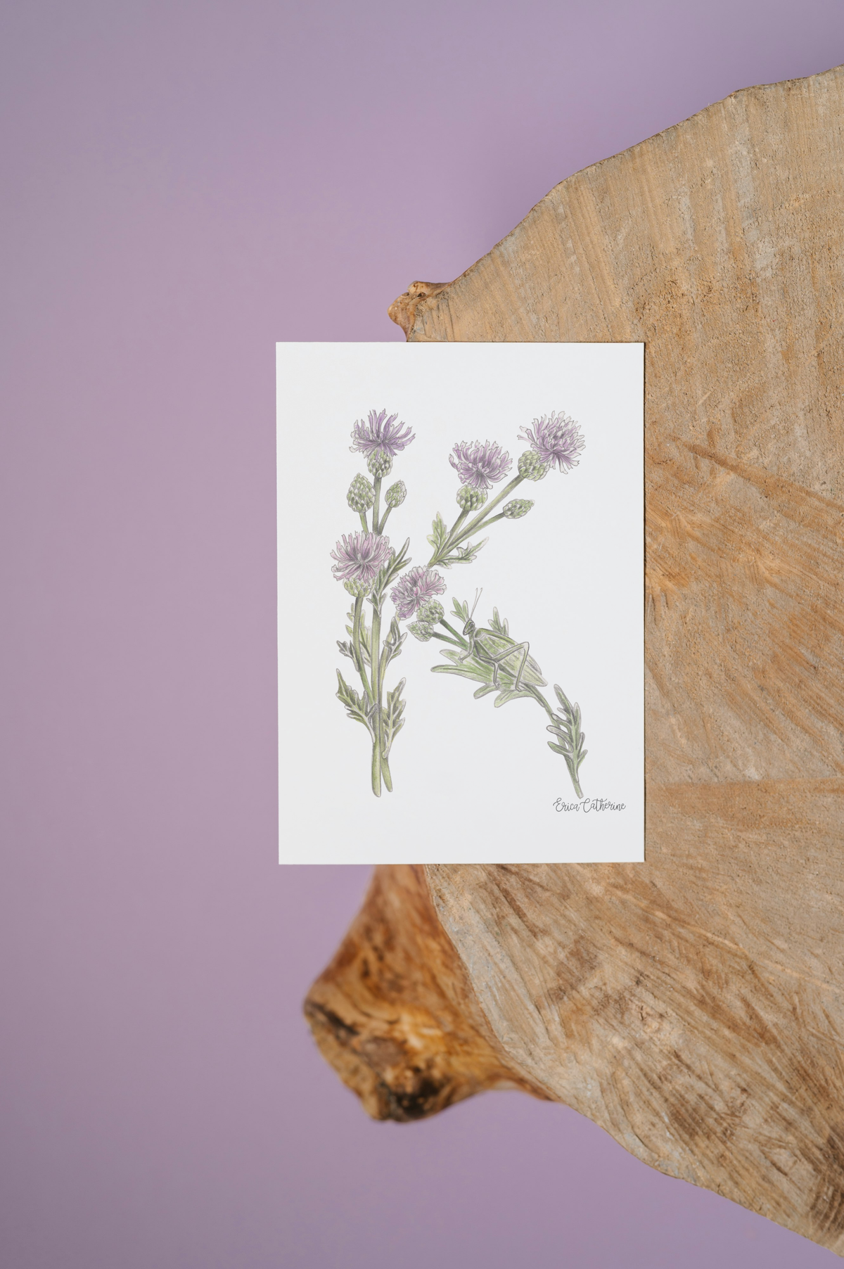 Letter K Woodland Alphabet Fine Art Print
