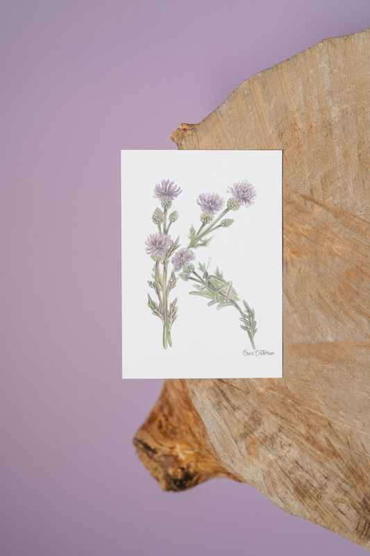 Letter K Woodland Alphabet Fine Art Print