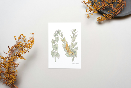 Letter N Woodland Alphabet Fine Art Print