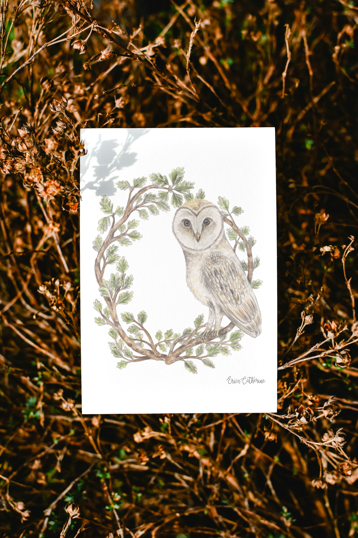 Letter O Woodland Alphabet Fine Art Print
