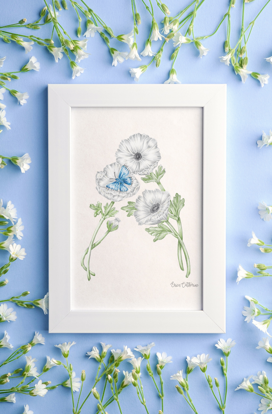 A framed botanical art print "A" featuring three white flowers with one blue butterfly displayed on a light blue background with scattered white flowers.