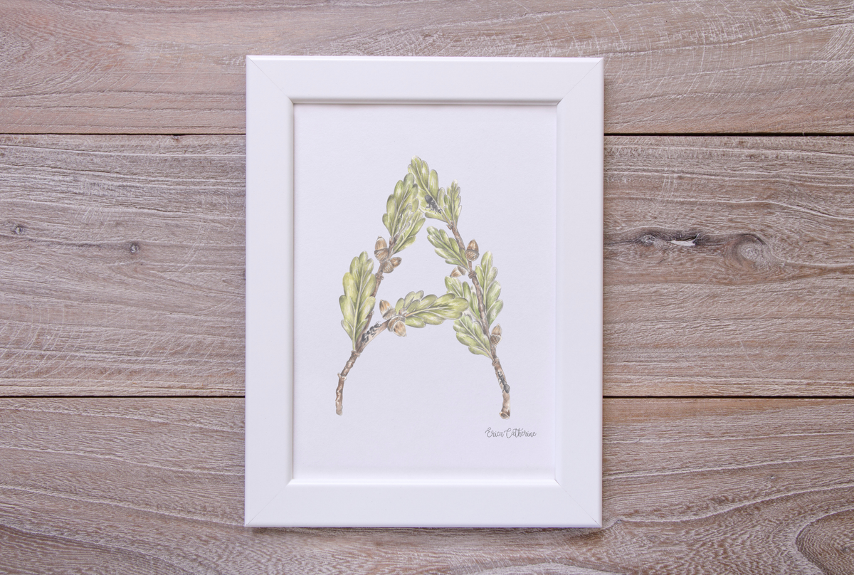 Letter A Woodland Alphabet Fine Art Print