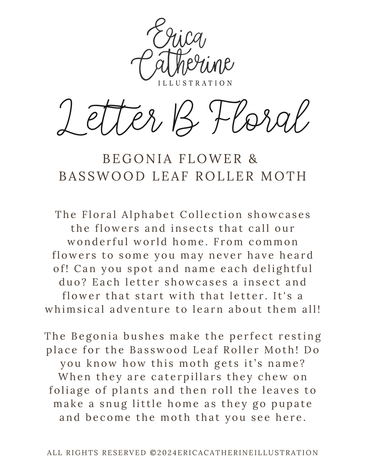A text-based educational card titled 'Letter B Floral' by Erica Catherine Illustration, featuring black script and serif text on a white background about begonia flowers and the basswood leafroller moth.