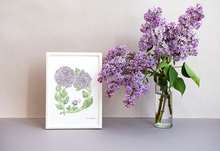 Load image into Gallery viewer, A framed botanical Letter "D" art print of purple dahlia flowers with a small white butterfly sits on a gray surface next to a clear glass vase filled with real purple lilac stems and green leaves, against a neutral beige wall.
