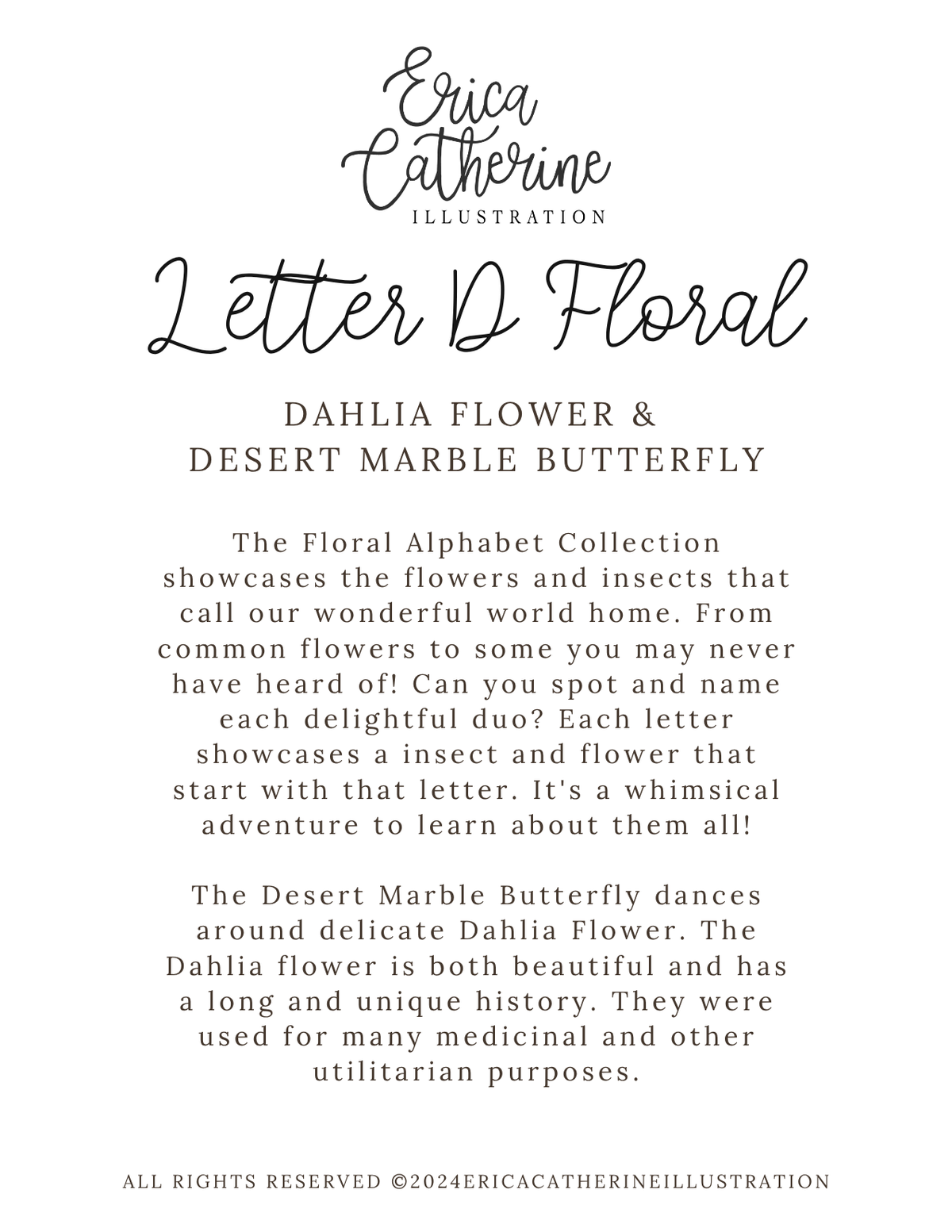 A digital info card about the 'Letter D Floral' by Erica Catherine Illustration, featuring black text on a white background.