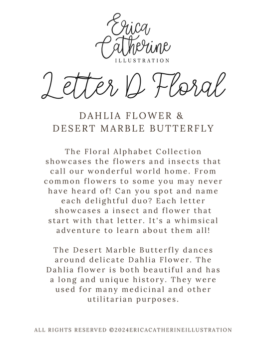 A digital info card about the 'Letter D Floral' by Erica Catherine Illustration, featuring black text on a white background.
