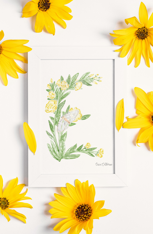 Letter E Floral Initial Art Print