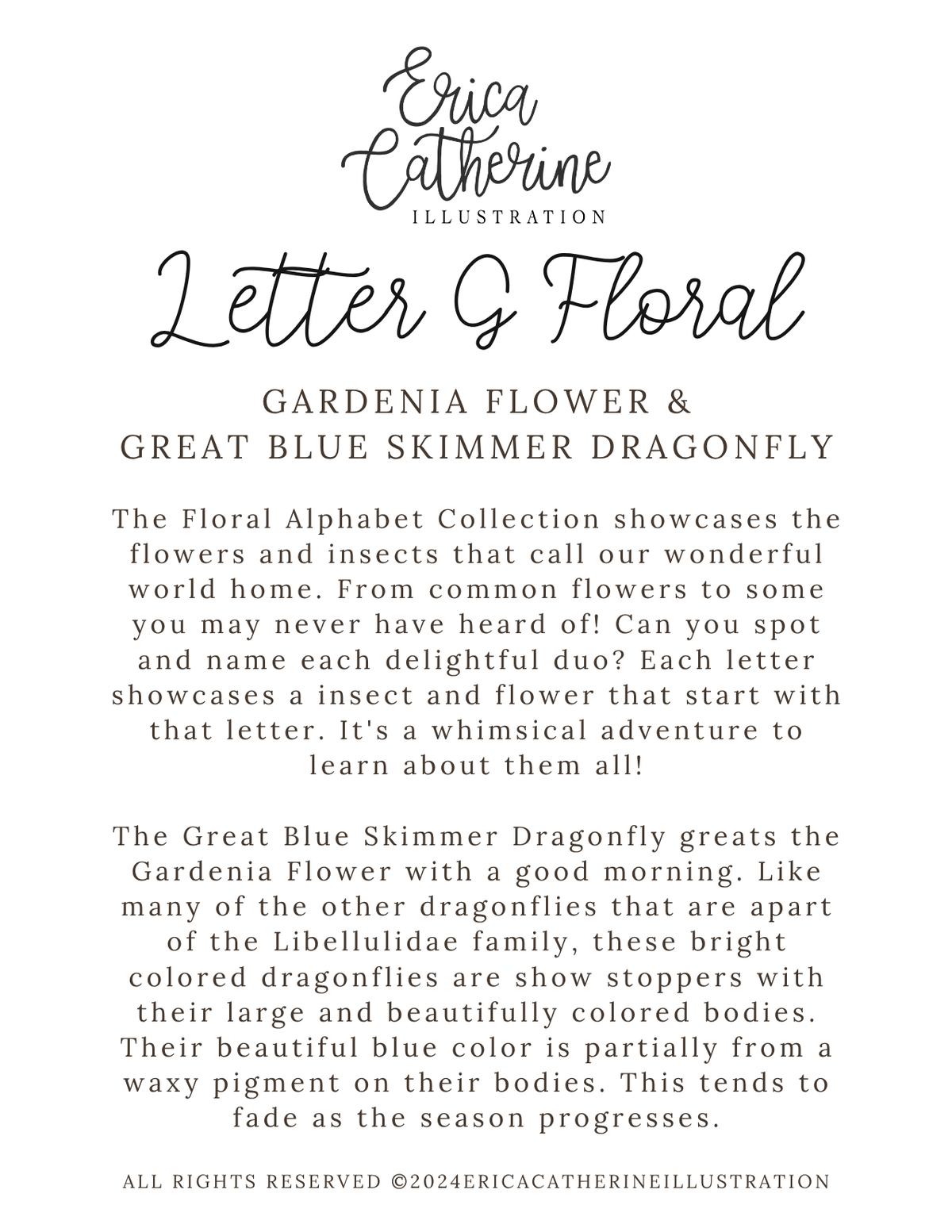 Letter G Floral Initial Art Print