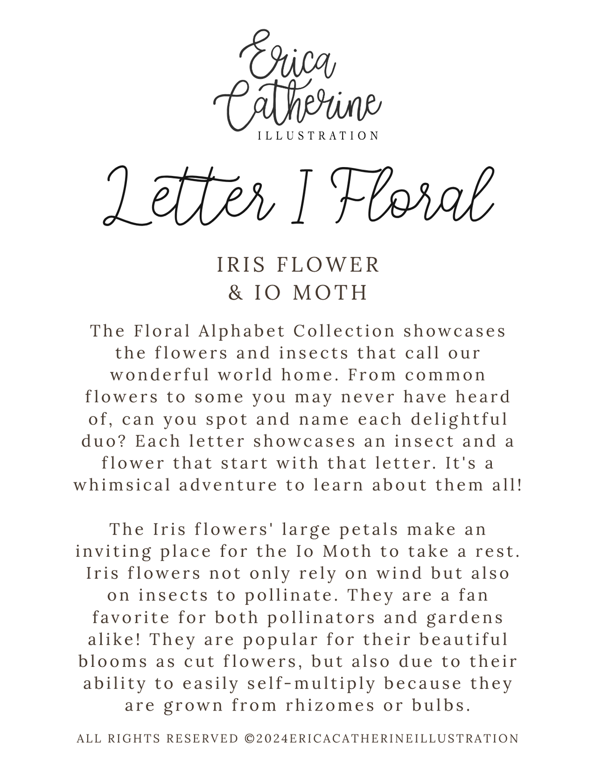 A text-based educational poster titled 'Letter I Floral' by Erica Catherine Illustration, featuring the 'Iris Flower & 10 Moth' topic. The design has black typography on a clean white background, detailing the correspondence between the letter 'I' and its insect pair.
