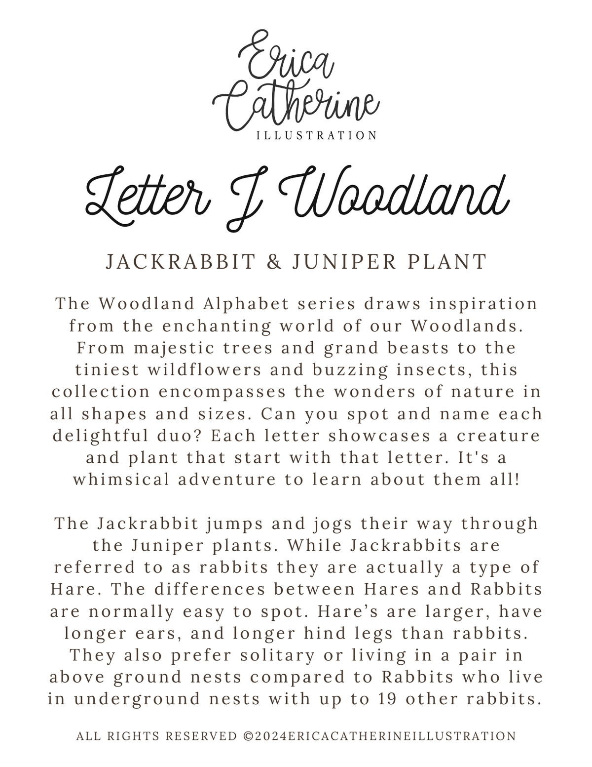 Letter J Woodland Alphabet Fine Art Print