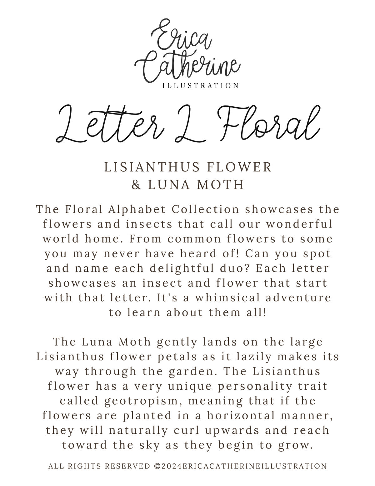 A text-based educational poster titled 'Letter L Floral' by Erica Catherine Illustration, featuring a 'Lisianthus Flower & Luna Moth' theme with descriptive paragraphs on a white background.