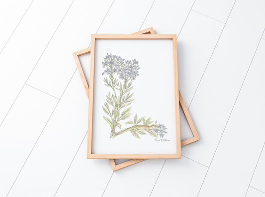Letter L Woodland Alphabet Fine Art Print