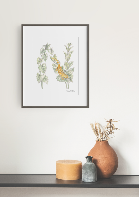 Letter N Woodland Alphabet Fine Art Print