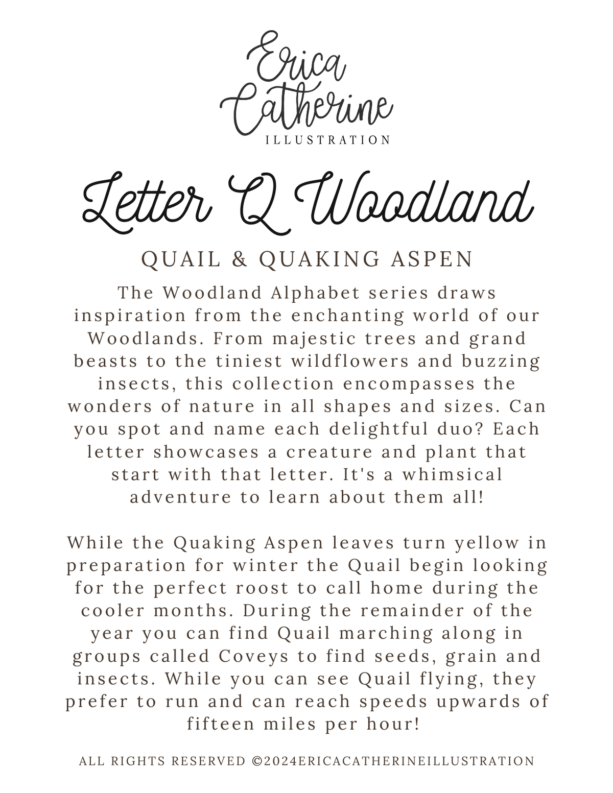 Letter Q Woodland Alphabet Fine Art Print