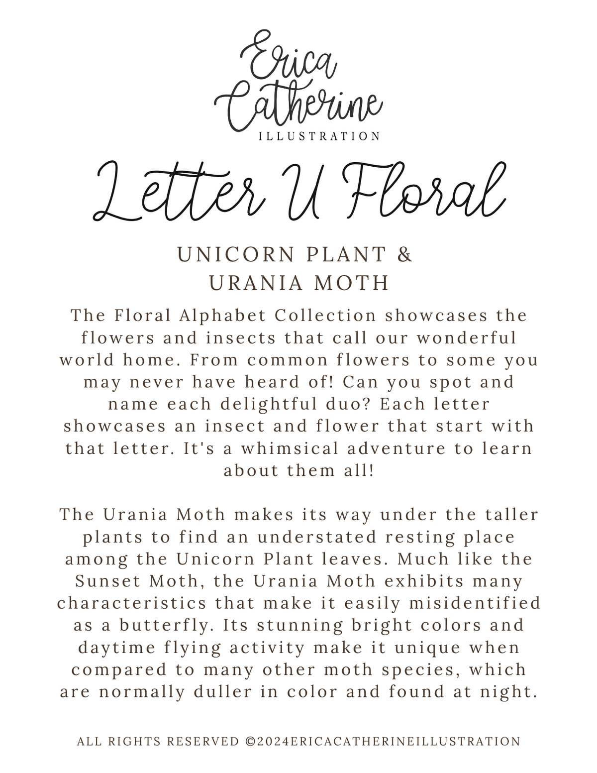 A text-based info card titled 'Letter U Floral' by Erica Catherine Illustration, about the Unicorn Plant and Urania Moth.