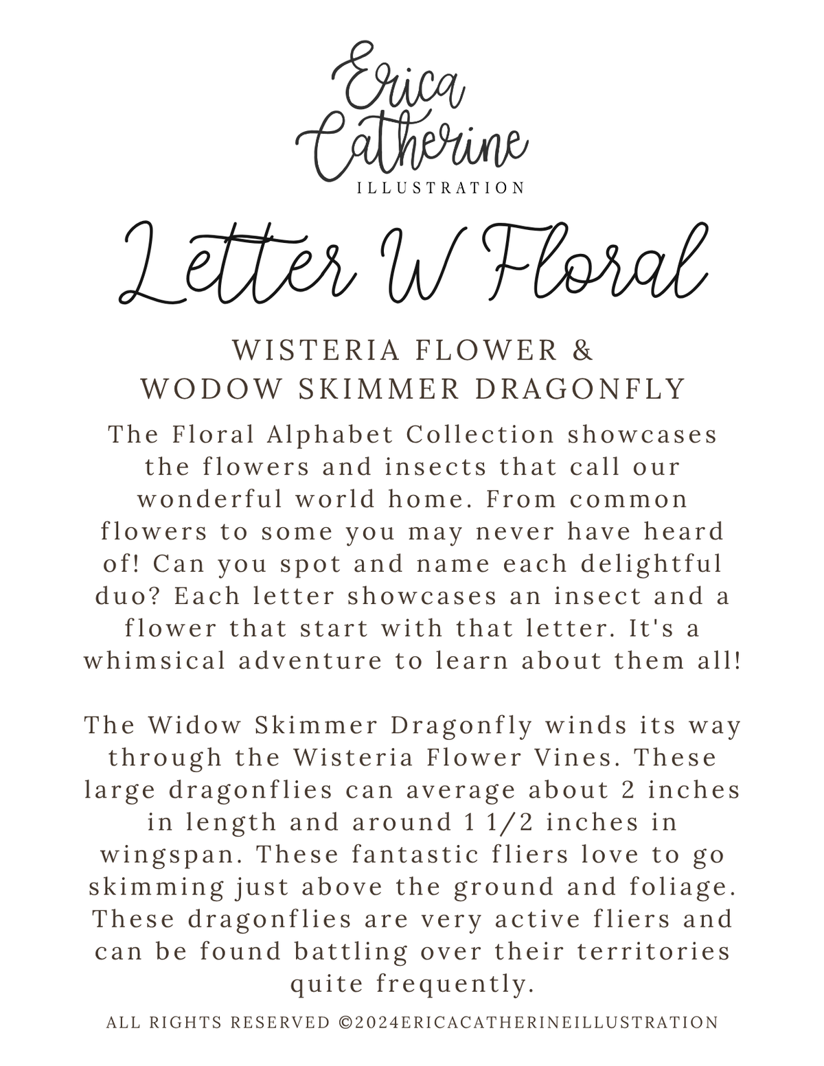 A info card\for Erica Catherine Illustration's 'Letter W Floral' collection, featuring the title 'Letter W Floral' and a description of 'Wisteria Flower & Wodow Skimmer Dragonfly' on a white background.