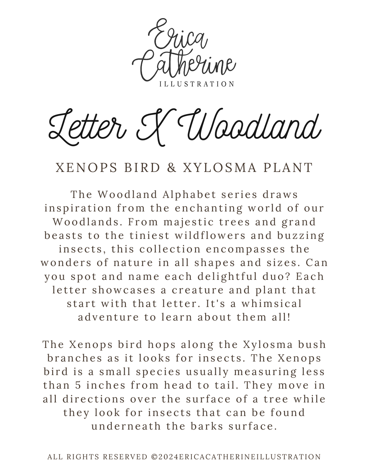 Letter X Woodland Alphabet Art Print
