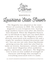 Load image into Gallery viewer, Louisiana State Map Art Print

