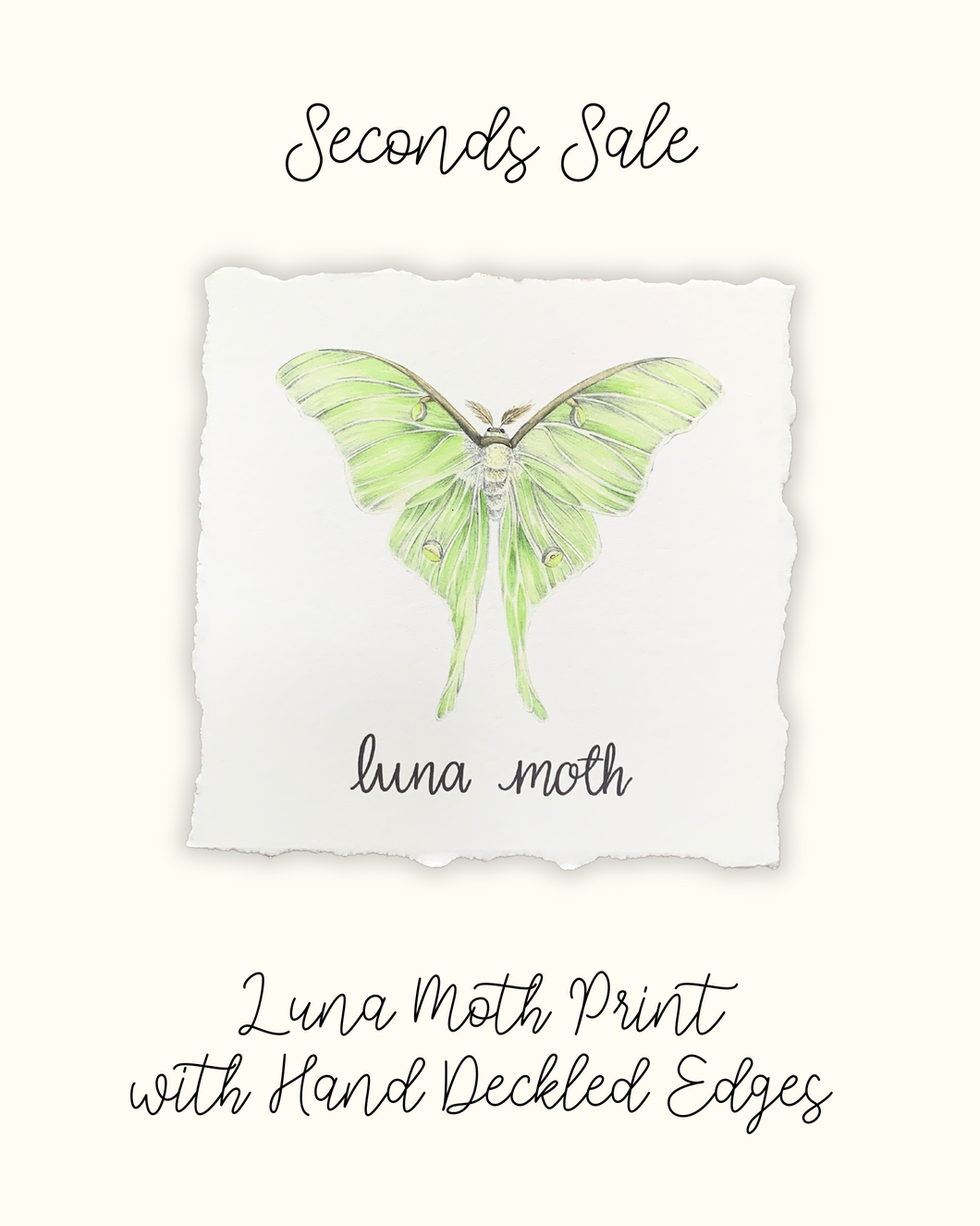 Luna Moth Print with Hand Deckled Edge - Seconds Sale