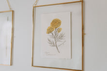 Load image into Gallery viewer, October Birth Flower - Marigold Mini Original Drawing
