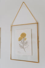 Load image into Gallery viewer, October Birth Flower - Marigold Mini Original Drawing
