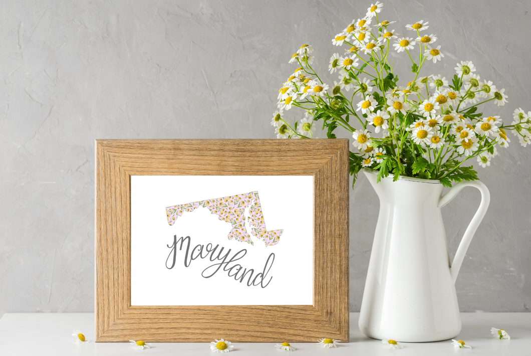 Maryland State Map Art Print