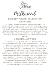 Load image into Gallery viewer, A text-based promotional graphic for Erica Catherine Illustration's Millweed Freshly Picked Collection Summer 2026, featuring descriptions of the collection and original artwork on a light gray background.
