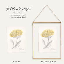Load image into Gallery viewer, A product comparison graphic showing a Milkweed floral art print in two formats: an unframed print on the left and a gold float frame with the same print on the right. Text at the top reads 'Add a frame!' with size information, and labels below read 'Unframed' and 'Gold Float Frame'.

