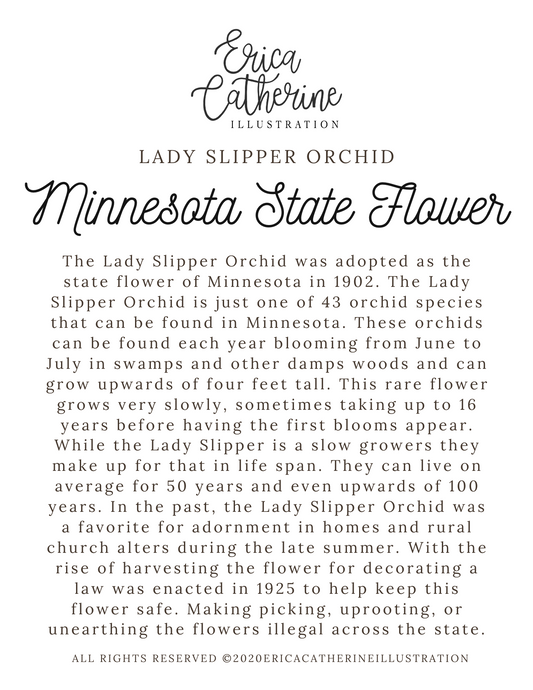 Minnesota State Flower Map - Seconds Sale